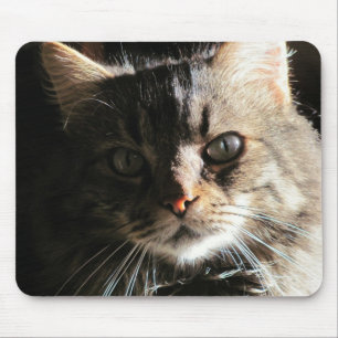 Tapis De Souris Le visage de Maine Coon
