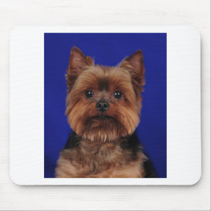 Tapis De Souris Le Yorkie