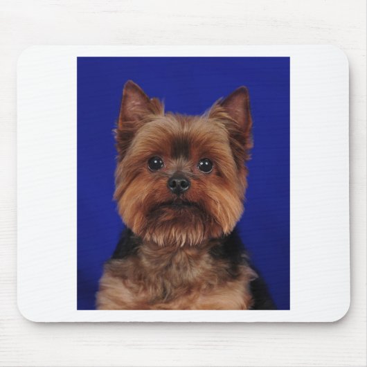 Tapis De Souris Le Yorkie (Devant)
