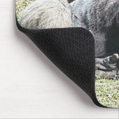 Tapis De Souris Leçons libres de tisonnier (Coin)