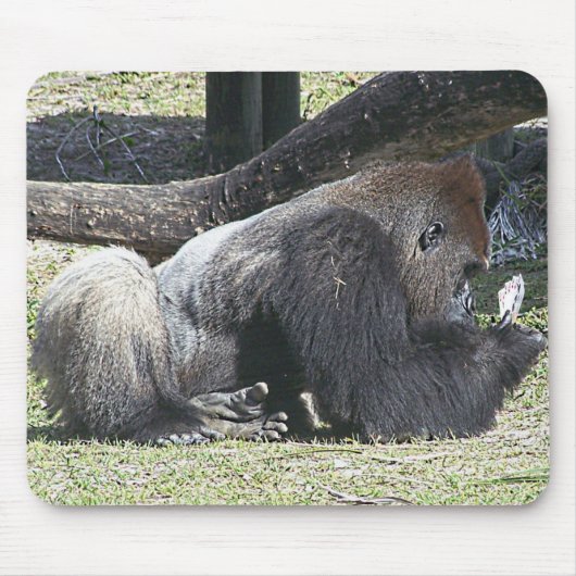 Tapis De Souris Leçons libres de tisonnier (Devant)