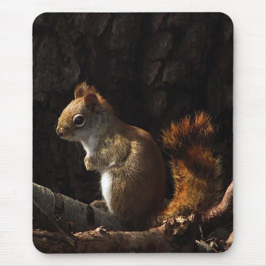 Tapis De Souris L'écureuil dans une patte de soleil (Devant)