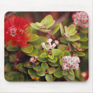 Tapis De Souris Lehua fleurit dans les volcans d'Hawaii