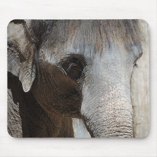 Tapis De Souris L'éléphant observe le mousepad (Devant)