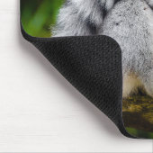 Tapis De Souris Lémur à queue (Coin)