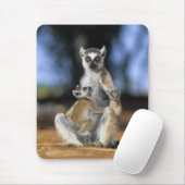 Tapis De Souris Lémur à queue annelée, (Lemur catta), Mère et (Avec souris)