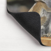 Tapis De Souris Lémur à queue d'anneau, (Lémur catta), Mère et (Coin)