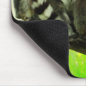 Tapis de souris - Lémur-Anneau coupé la queue (Coin)