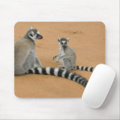 Tapis De Souris Lémurs à queue annelée, (Lemur catta), Berenty (Avec souris)