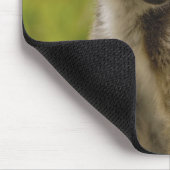 Tapis De Souris Lémurs à queue annelée (Lemur catta) Mère et bébé. (Coin)
