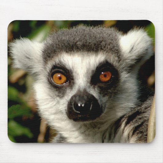 Tapis De Souris Lenur Mousepad (Devant)