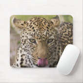 Tapis De Souris Leopard (Avec souris)