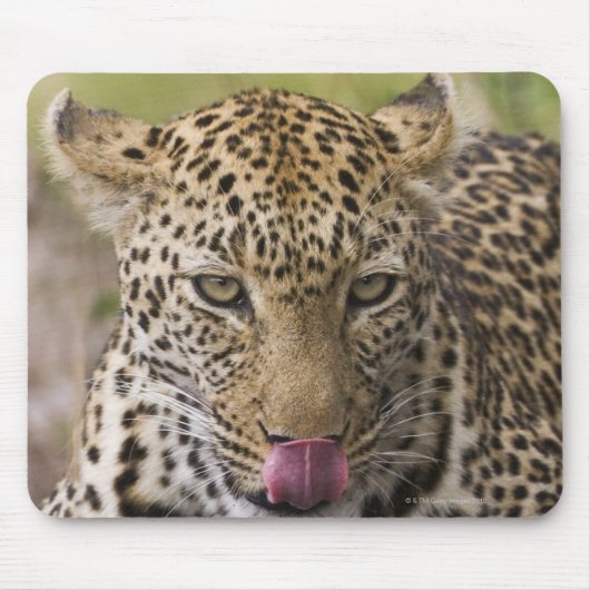 Tapis De Souris Leopard (Devant)