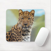 Tapis De Souris Leopard (Avec souris)