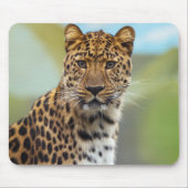 Tapis De Souris Leopard (Devant)