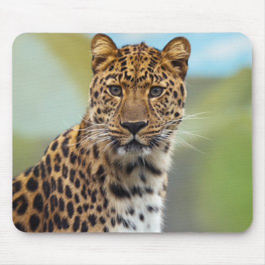 Tapis De Souris Leopard (Devant)