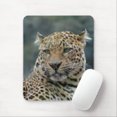 Tapis De Souris Leopard 006 (Avec souris)
