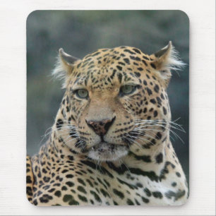 Tapis De Souris Leopard 006