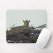 Tapis De Souris léopard africain (Avec souris)