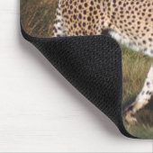 Tapis De Souris Leopard dans la plaine (Coin)