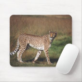 Tapis De Souris Leopard dans la plaine (Avec souris)