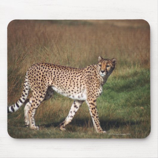 Tapis De Souris Leopard dans la plaine (Devant)