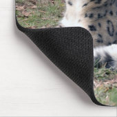 Tapis De Souris léopard de neige 26 (Coin)