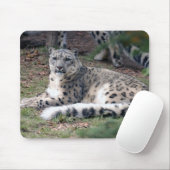 Tapis De Souris léopard de neige 26 (Avec souris)