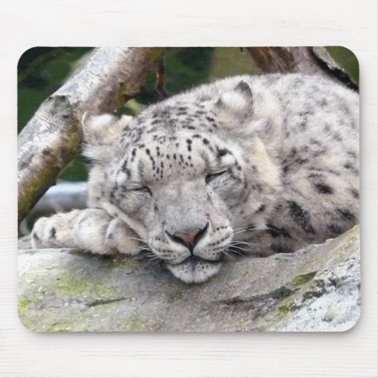 Tapis De Souris Léopard de neige - beau ! (Devant)