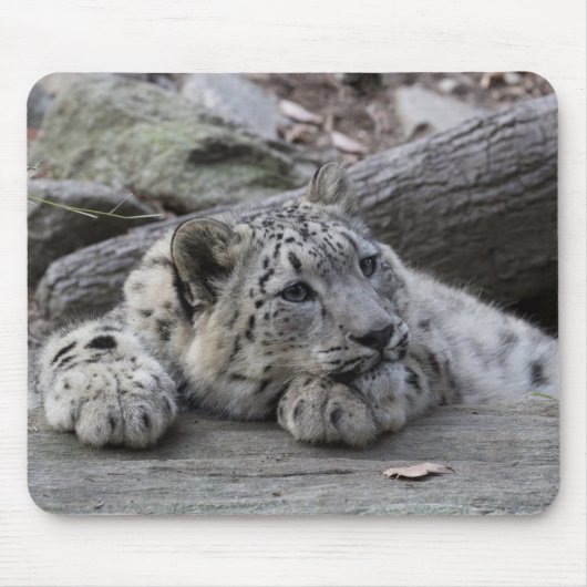 Tapis De Souris Léopard de neige ennuyé CUB (Devant)