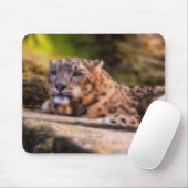 Tapis De Souris Léopard Lounging (Avec souris)