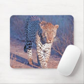 Tapis De Souris Léopard masculin (Avec souris)
