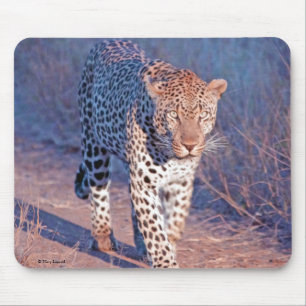 Tapis De Souris Léopard masculin