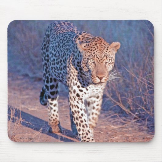Tapis De Souris Léopard masculin (Devant)