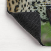 Tapis De Souris léopard, nature, faune (Coin)
