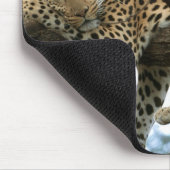 Tapis De Souris Léopard posé dans l'arbre (Coin)