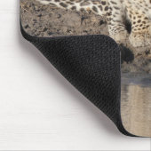TAPIS DE SOURIS LÉOPARD SE DÉSALTÈRE (Coin)