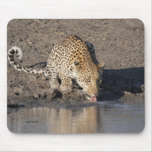 TAPIS DE SOURIS LÉOPARD SE DÉSALTÈRE