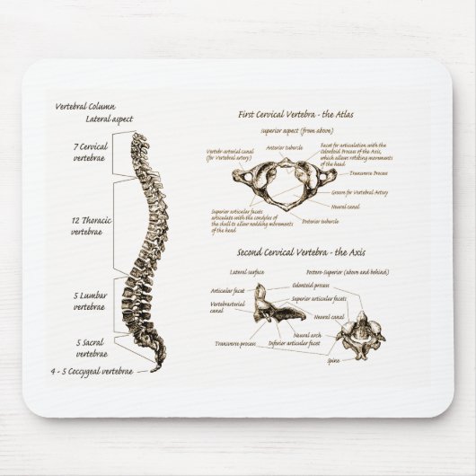 Tapis De Souris L'épine détaille la sépia (Devant)