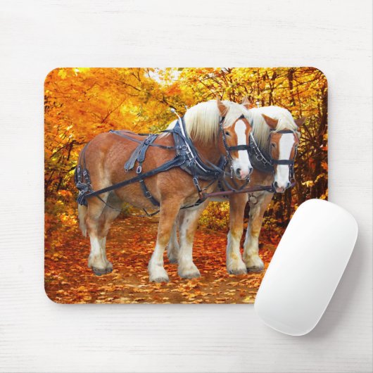 Tapis De Souris "L'équipe Hayride" (Avec souris)