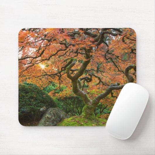Tapis De Souris L'Érable Dans Les Jardins Japonais En Automne (Avec souris)