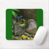 Tapis De Souris Les amis de la grenouille (Avec souris)