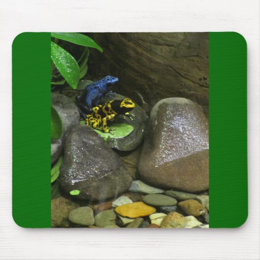 Tapis De Souris Les amis de la grenouille (Devant)