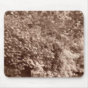 Tapis De Souris Les arbres devant le canal