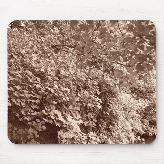 Tapis De Souris Les arbres devant le canal (Devant)