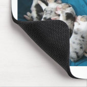 Tapis De Souris les Australiens m'incitent à sourire (Coin)