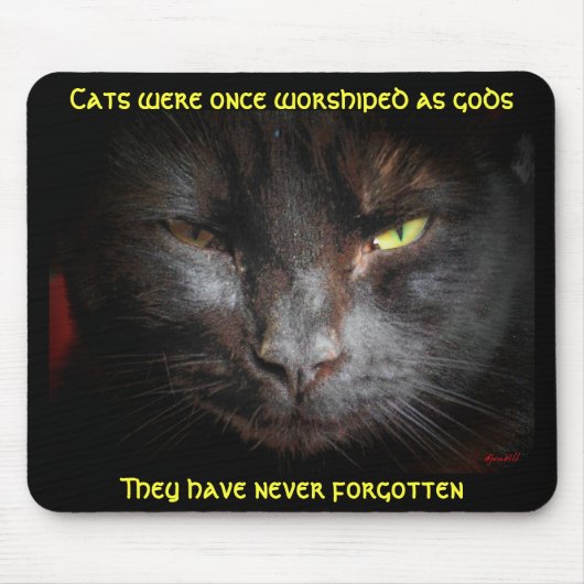 Tapis De Souris Les chats étaient adorés, ils n'oublient pas (Devant)