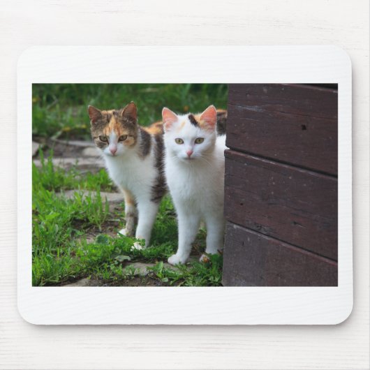 Tapis De Souris Les chats jouent (Devant)