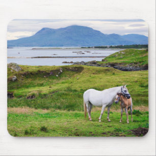 Tapis De Souris Les chevaux de Connemara Galway, Irlande