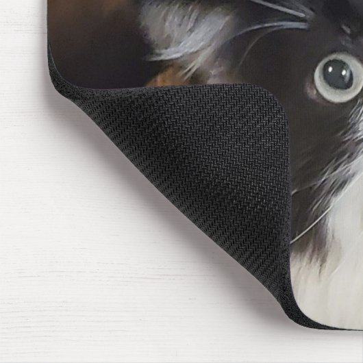 Tapis De Souris Les Chroniques de Todd - Souris (Coin)